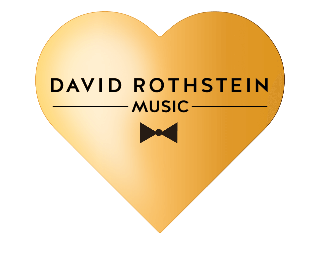 DRS Music | David Rothstein Music | Chicago wedding band | Chicago wedding bands | Chicago wedding Music | Best Chicago Wedding Band